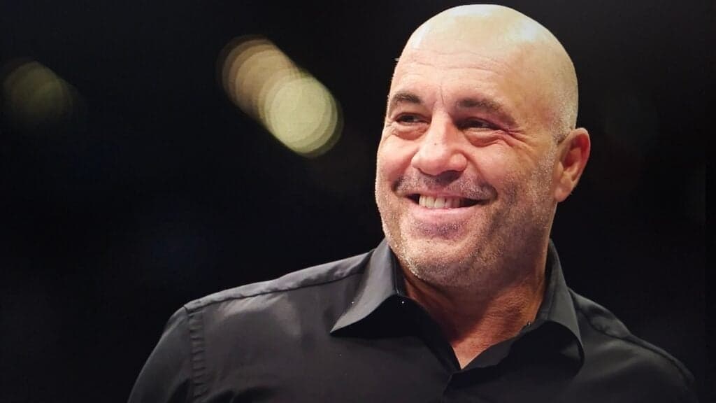Joe Rogan Says a 'Select Few Group of People' Could Create and Control a 'Digital God'-'And We're Just Tr