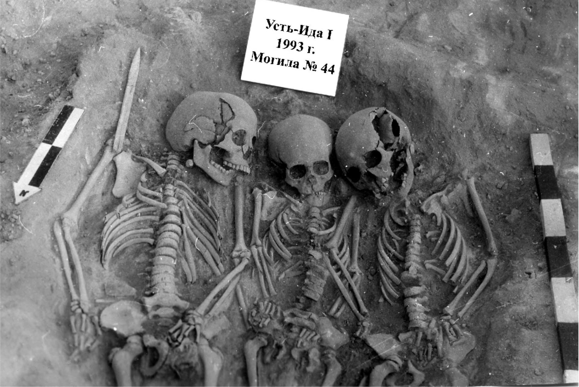 Prehistoric Plague Could Have Caused a Population Collapse in Stone Age Europe