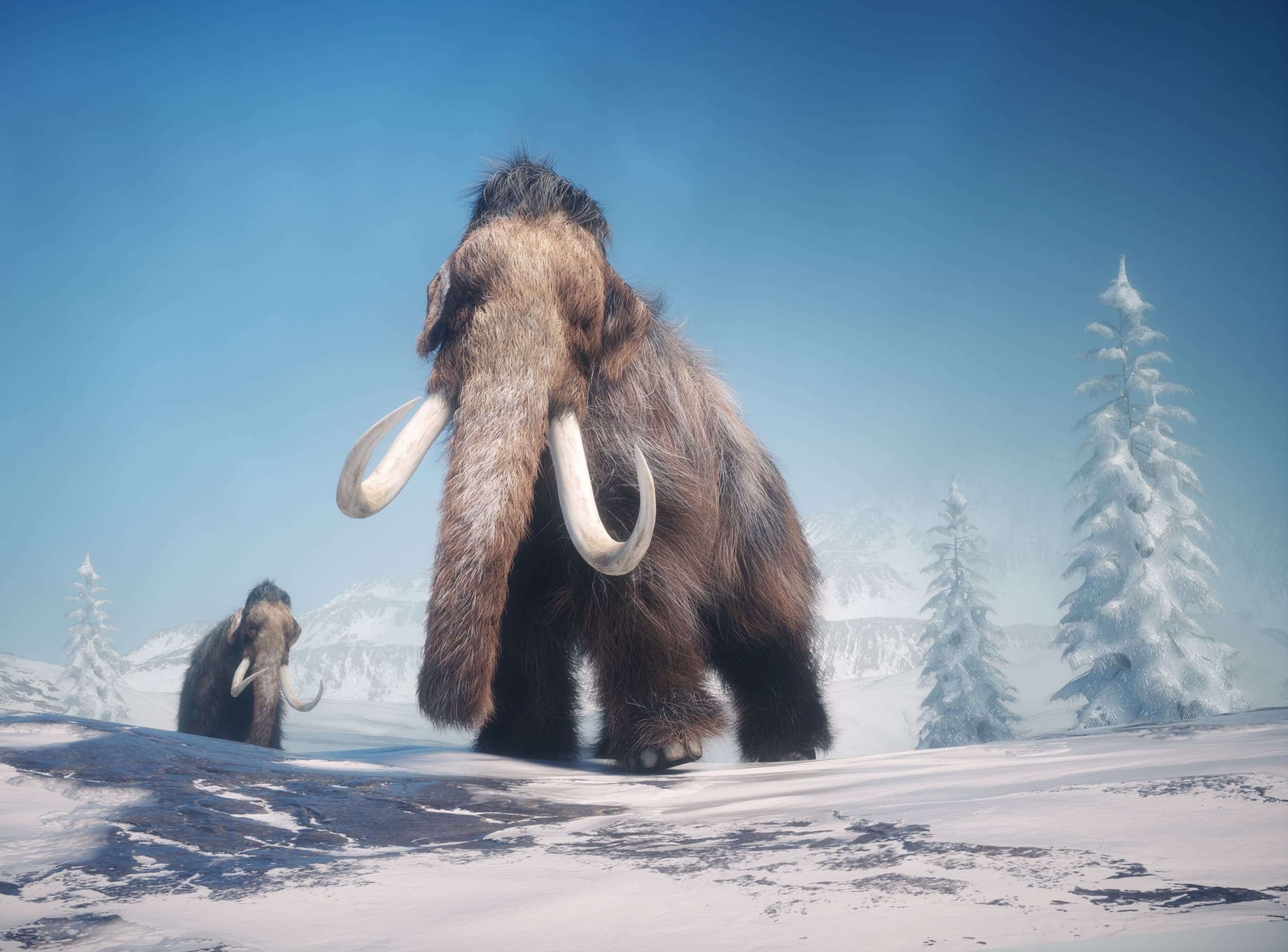 Ice Age hunters followed giant animals across the Americas