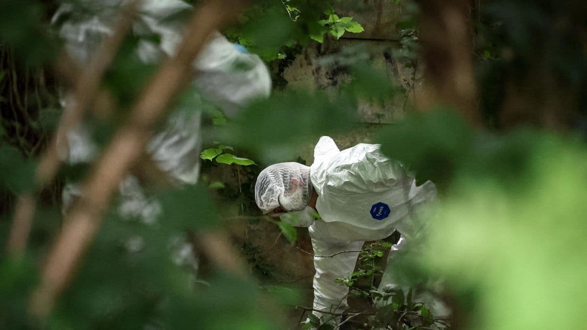 Forensics and organised crime police swoop woodland near schools and uncover two guns