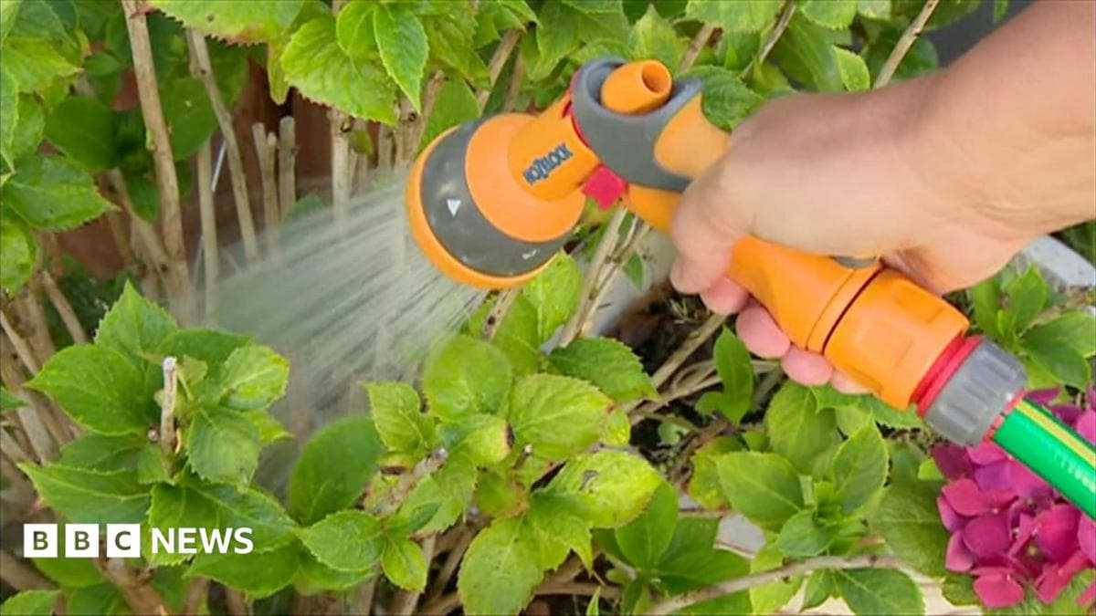 Hosepipe ban for Hampshire and Isle of Wight