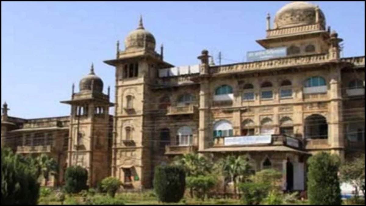 ग्वालियर में डॉग बाइट के साथ 'कैट बाइट' का भी बढ़ा खौफ, JAH में हर दिन आ रहे 7 से 8 मामले; पालतू बिल्लियां भी बना रही शिकार