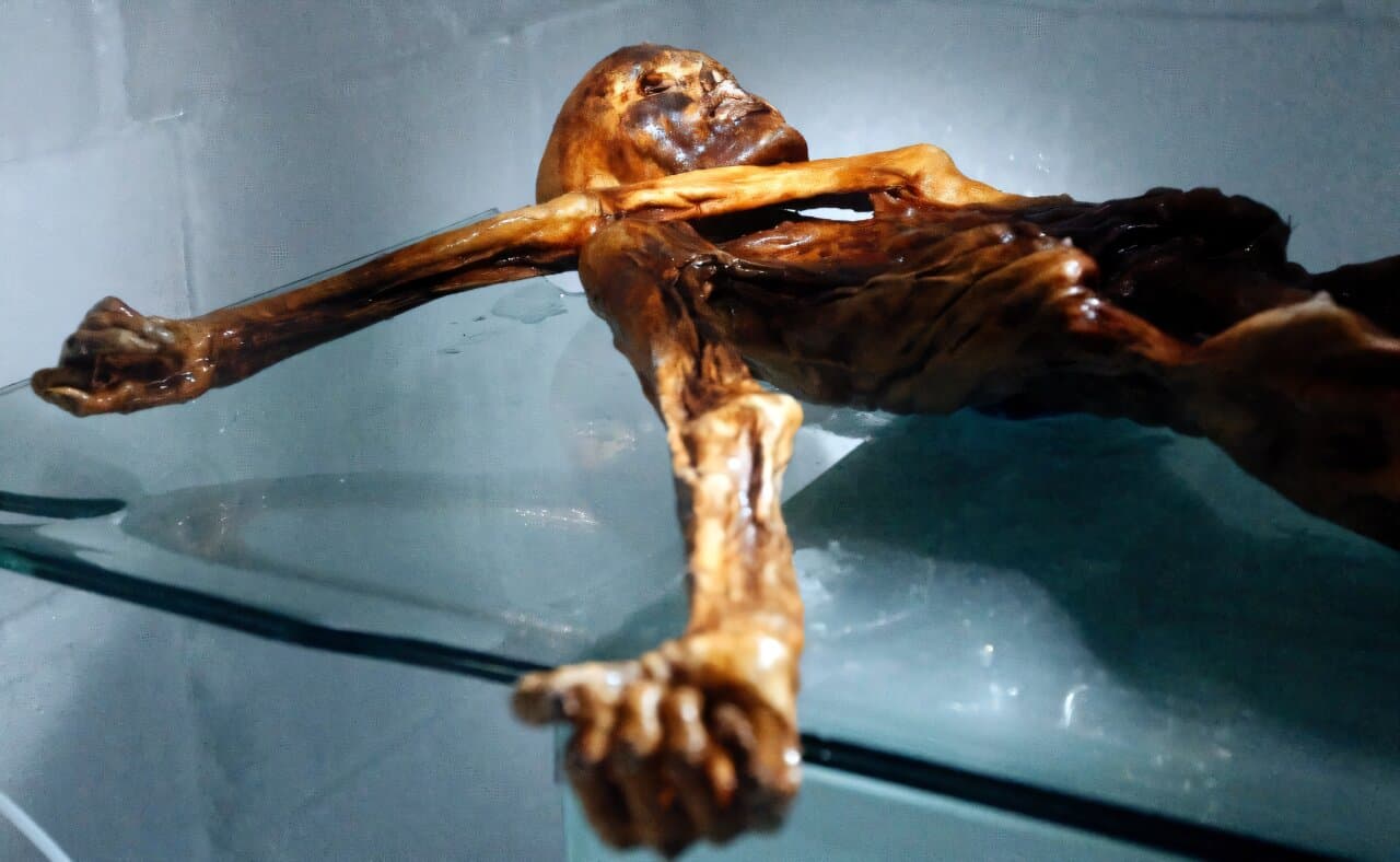 Scientists find yeast in ancient Iceman's guts-and make bread