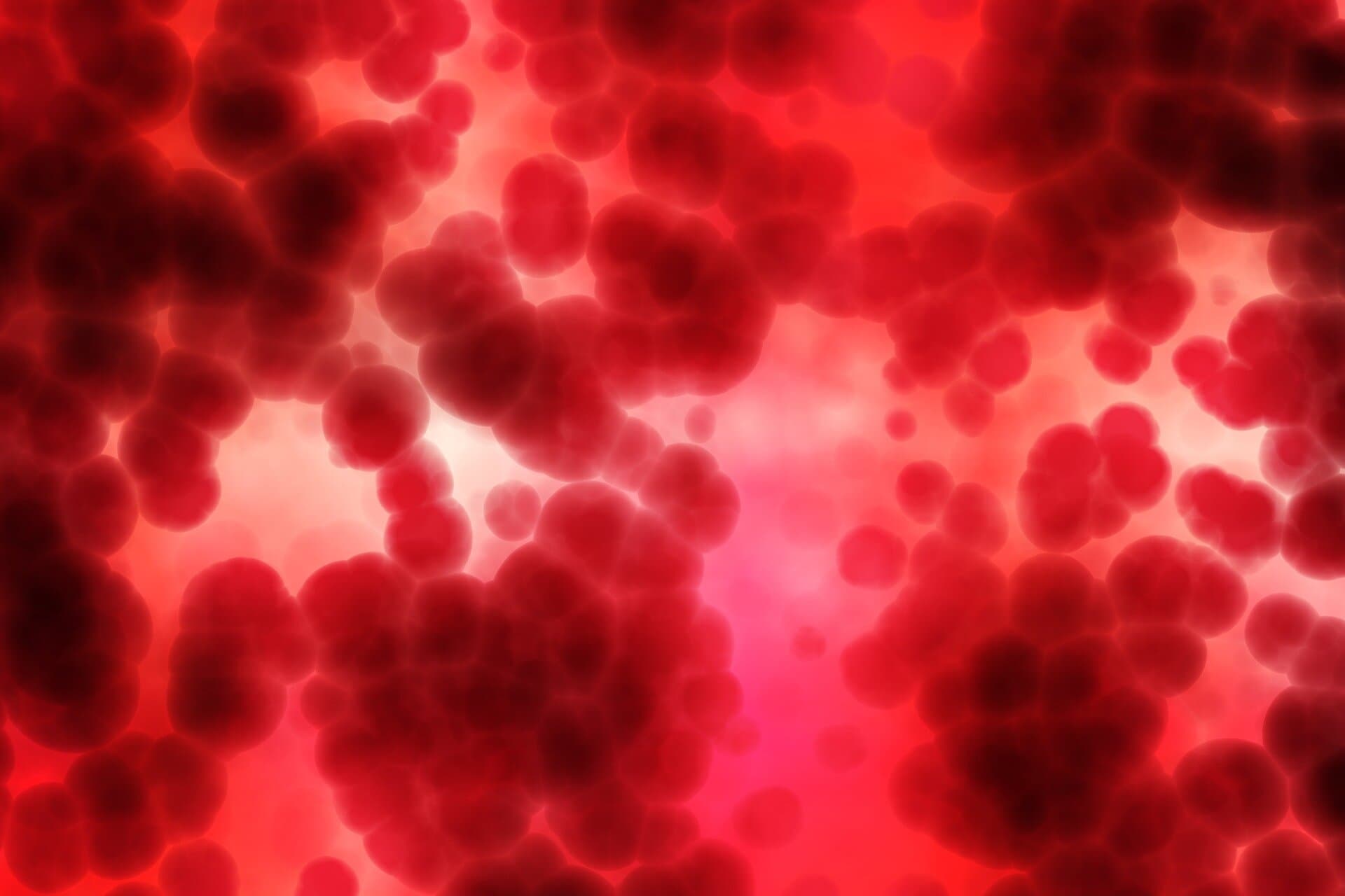 CAR T cell therapy targets key mutation driving rare blood cancers