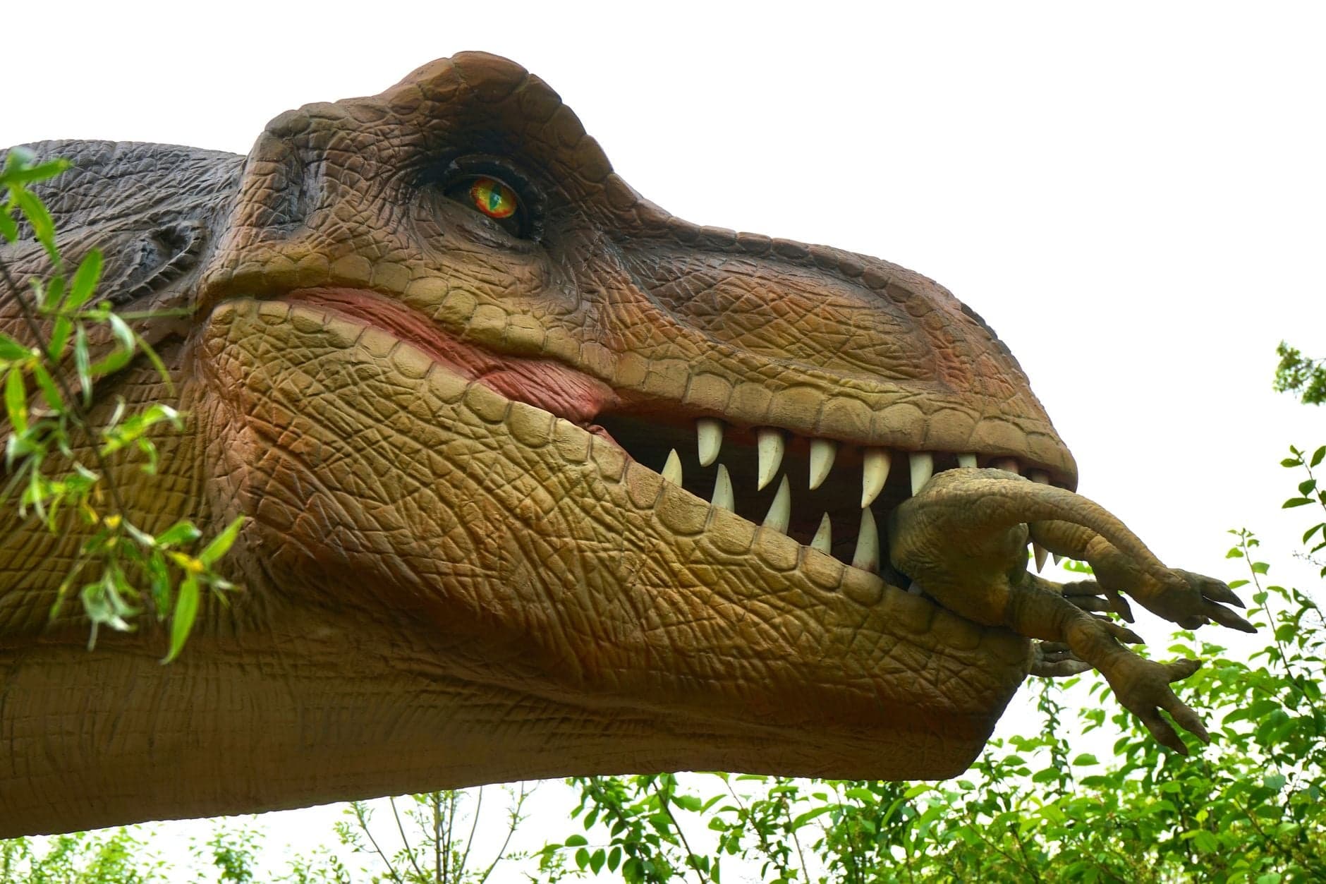 For much of the past century, scientists believed dinosaurs were already in decline when the asteroid struck 66 million years ago — but a 2025 study published in Science found fossils in New Mexico sh