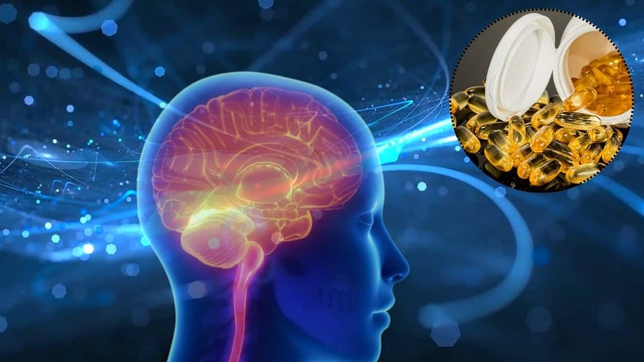 रोज Omega-3 लेने वालों के लिए बड़ा झटका! Brain Health को नहीं मिलता फायदा, नई स्टडी में खुलासा