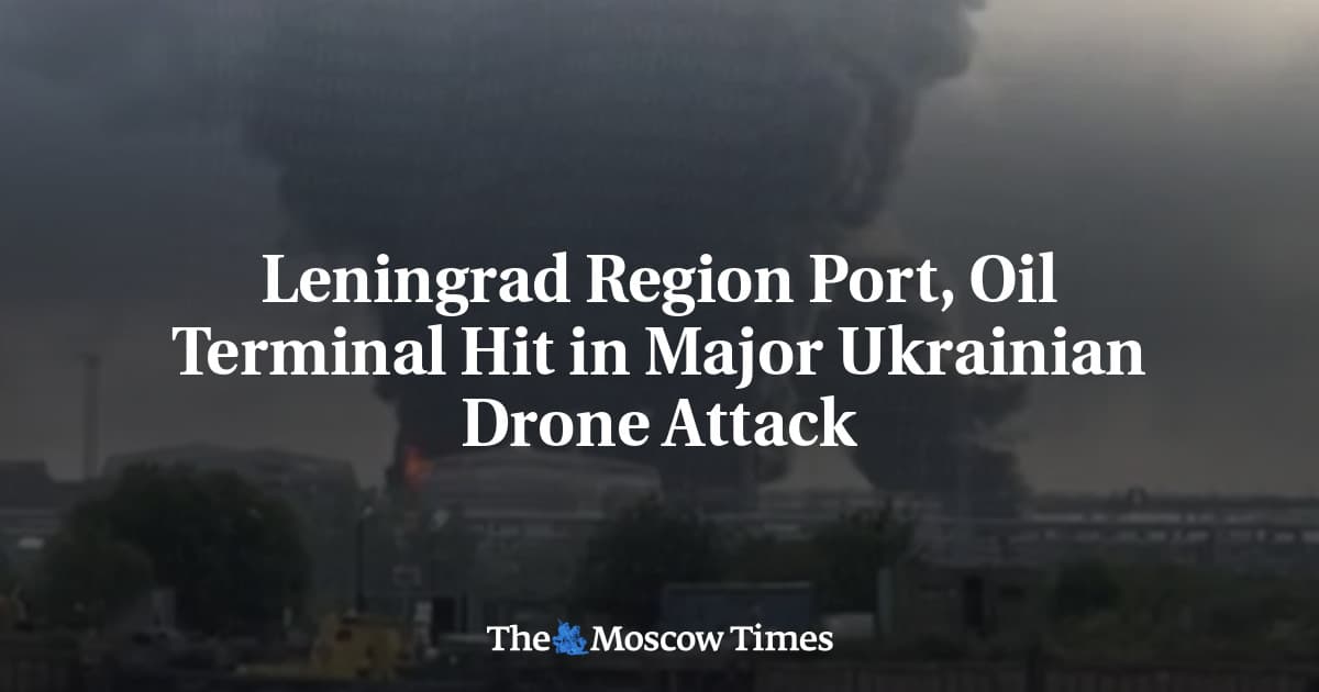 Leningrad Region Port, Oil Terminal Hit in Major Ukrainian Drone Attack