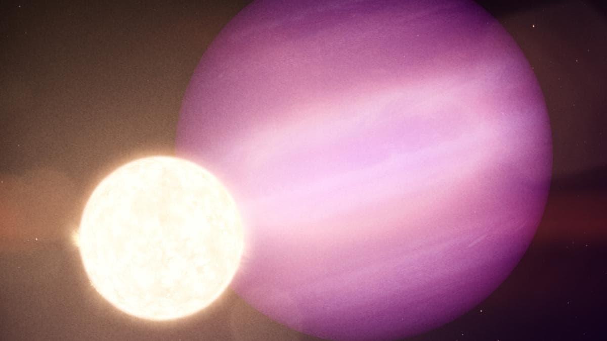 Science Snapshots: July 5, 2026
