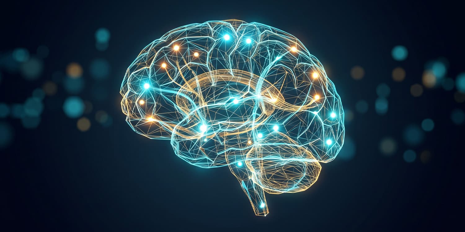 Bilingual brains use a shared neural map to translate meaning across languages